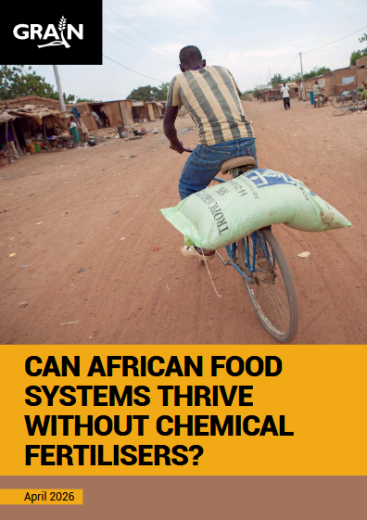Rising fertilizer dependence sparks debate over Africa’s agricultural future; experts call for urgent critical review process.