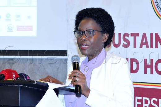 Minister Nabakooba wants special land title issuance halted