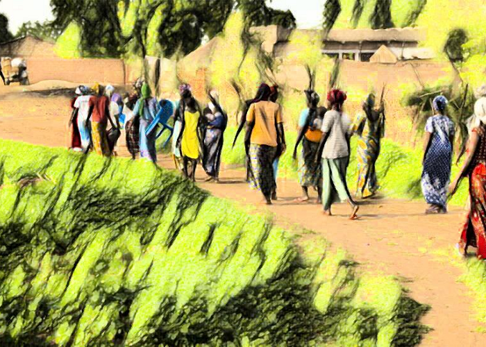 As COVID-19 crisis rages, 119 groups from 30 countries push urgent demands for rural peoples