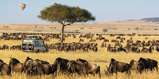 Lawyers Move to Court to Stop New Luxury Tourism Projects in Maasai Mara