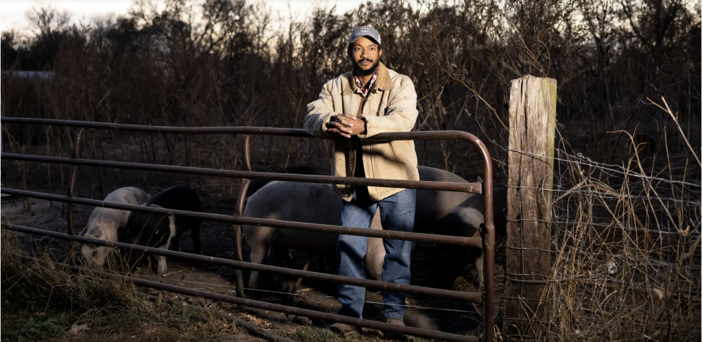 Farmland Values Hit Record Highs Pricing Out Farmers Special Reports