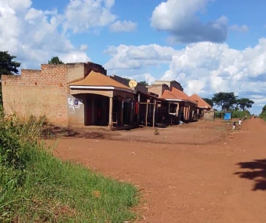 More than 500 Masindi residents live in fear as a tycoon targets their land.
