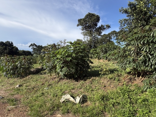 Experts rally the region to unite behind East Africa’s transformative Agroecology Bill.
