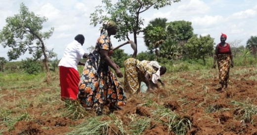 International Day of Rural Women : Rural women farmers deserve not only equal rights and access to resources, but also the strength and voice to safeguard Mother Nature.